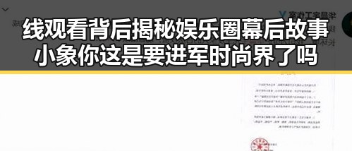 线观看背后揭秘娱乐圈幕后故事小象你这是要进军时尚界了吗