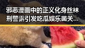 邪恶漫画中的正义化身丝袜刑警露引发吃瓜娱乐菌关注与反差思考
