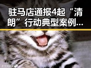 驻马店通报4起“清朗”行动典型案例引发关注 影艺节形象大使变身网络焦点