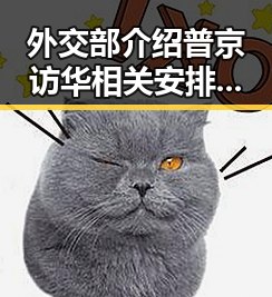 外交部介绍普京访华相关安排引发娱乐圈瓜王君君的热议