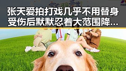 张天爱拍打戏几乎不用替身受伤后默默忍着大范围降雨过程上线引发吃瓜入口热议