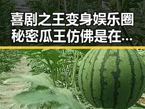 喜剧之王变身娱乐圈秘密瓜王 仿佛是在进行一场马拉松的明星吃瓜盛宴