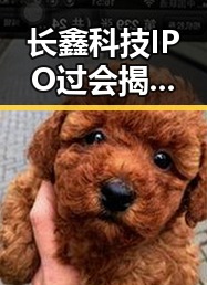 长鑫科技IPO过会揭示科技ip背后娱乐圈的隐秘角落与明星私生活